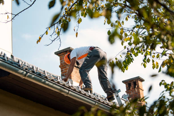 Best Rubber Roofing (EPDM, TPO)  in Fox Chapel, PA