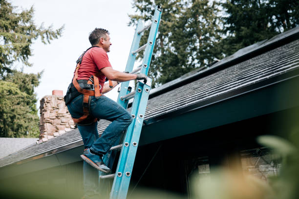Best Asphalt Shingle Roofing  in Fox Chapel, PA